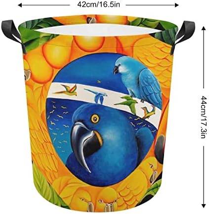 Папагал Изкуство Флаг на Бразилия Голяма Кошница За Дрехи, Кошница За Дрехи, Чанта за Пране с Дръжки за Общежитието