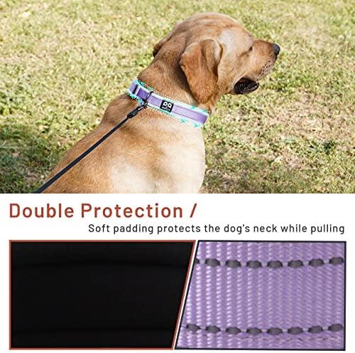Нашийник за кучета с перезаряжаемым фенерче: Led отразяваща нашийник с USB за сигурност на домашни любимци Лека